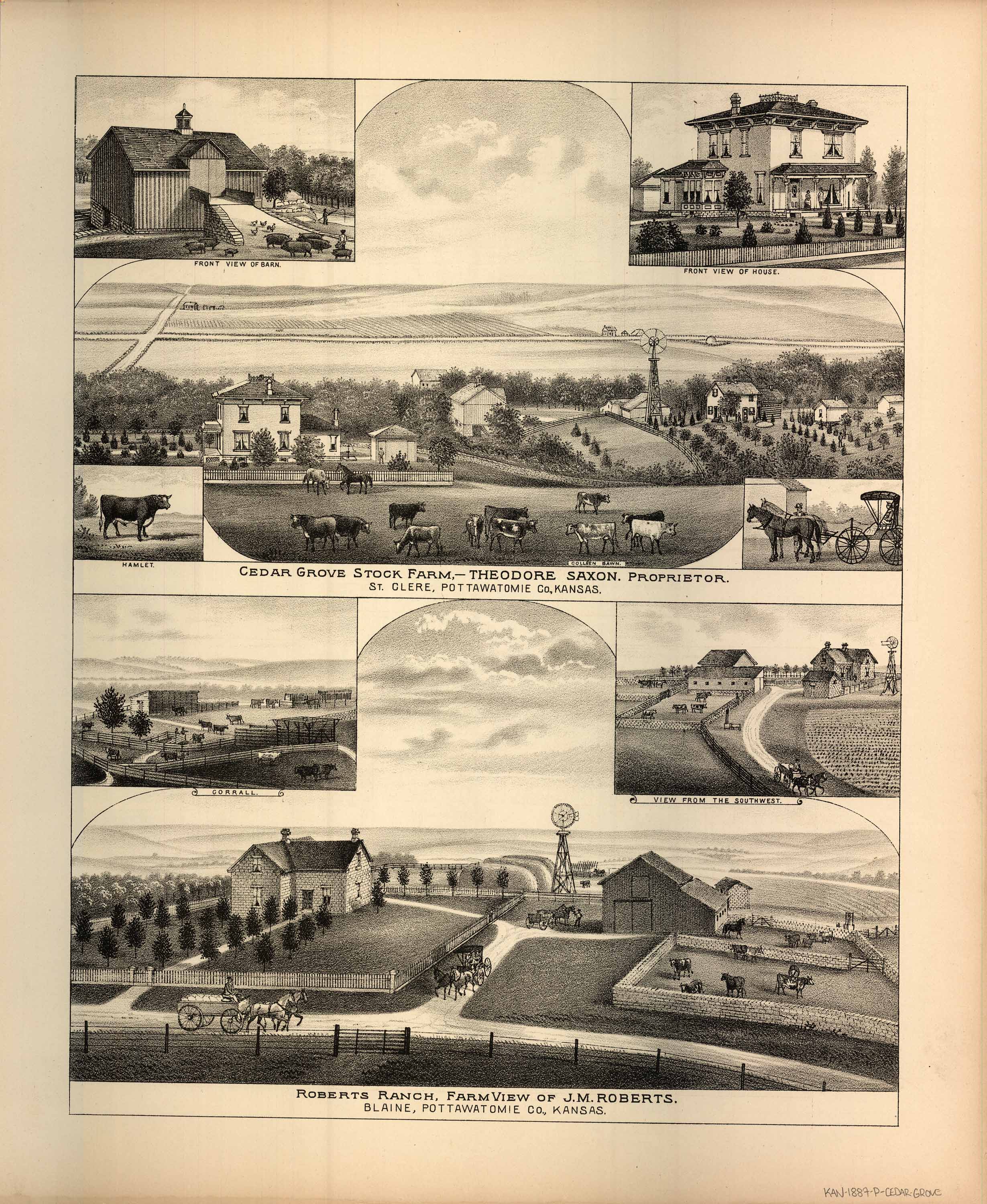 KAN-1887-P-CEDAR-GROVE