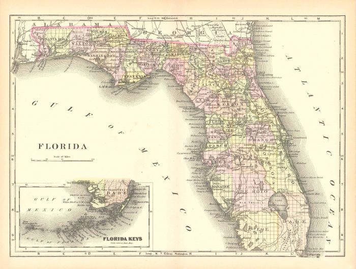 Map of Florida (USA) and inset map of Hillsborough County showing the