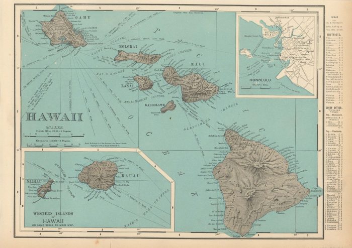 McNally's 1902 Map of Hawaii - Art Source International