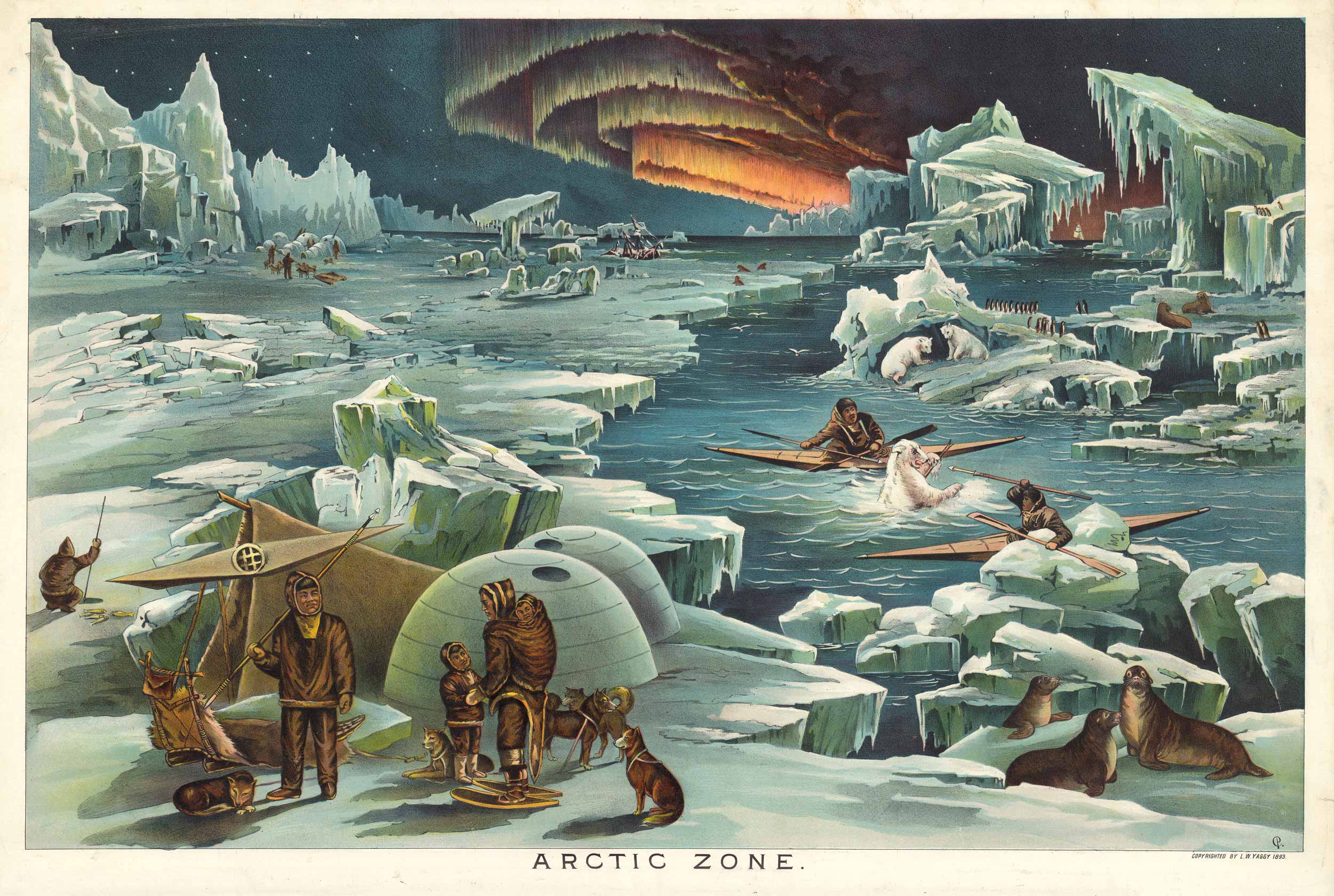 ASIR-783-Arctic-Zone