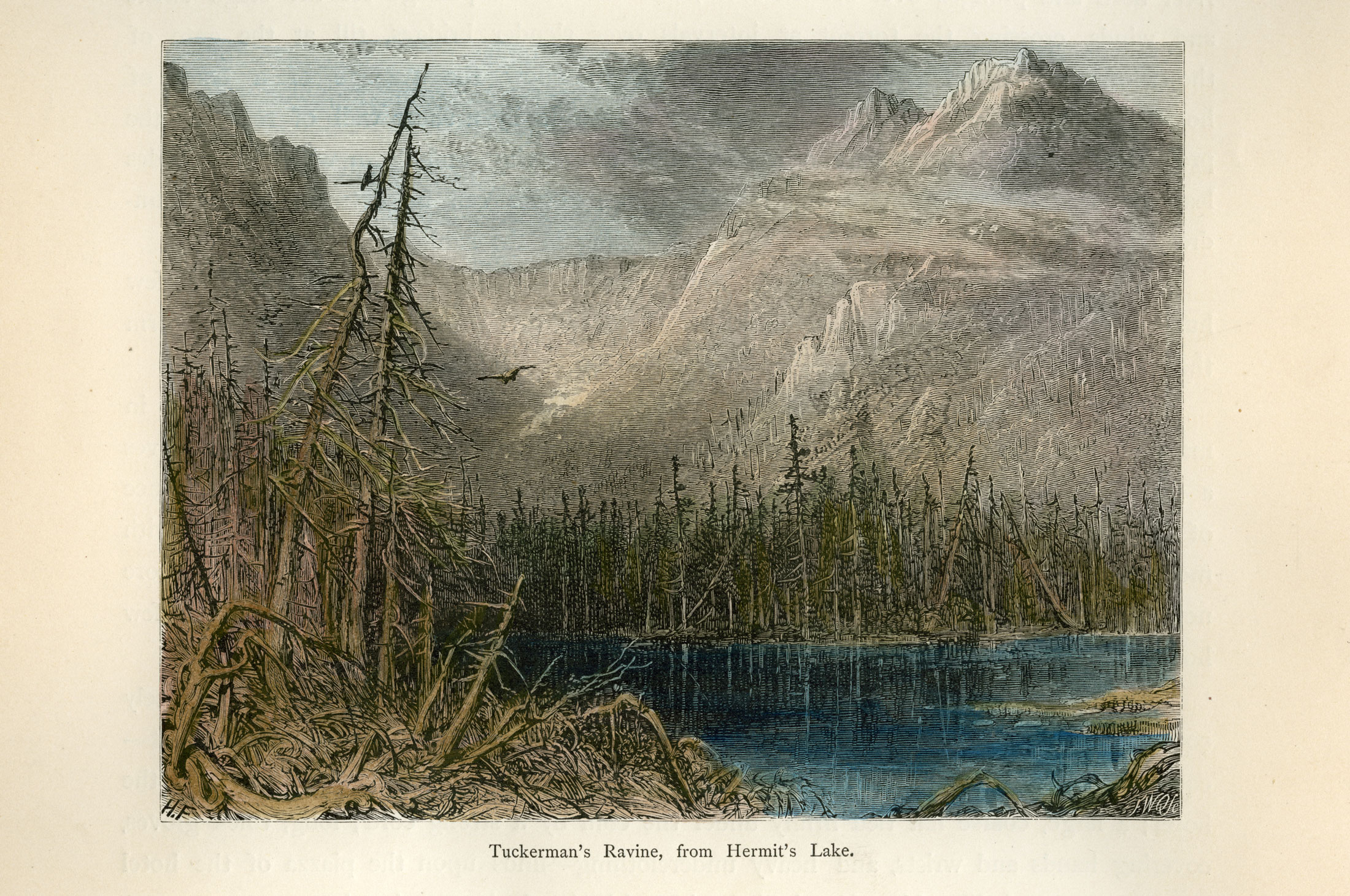 PICAM-1872-HERMITLAKE